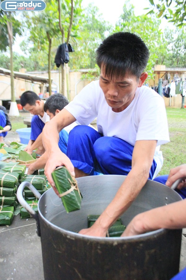 Từng chiếc bánh chưng được xếp rất gọn gàng